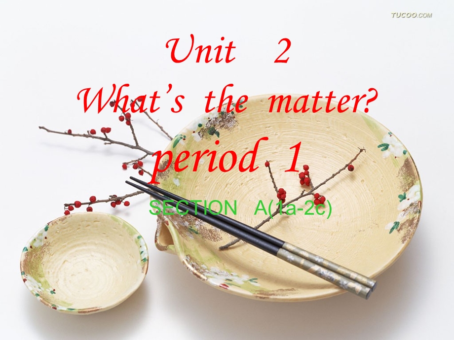 新目标八年级上Unit2period1课件.ppt_第1页