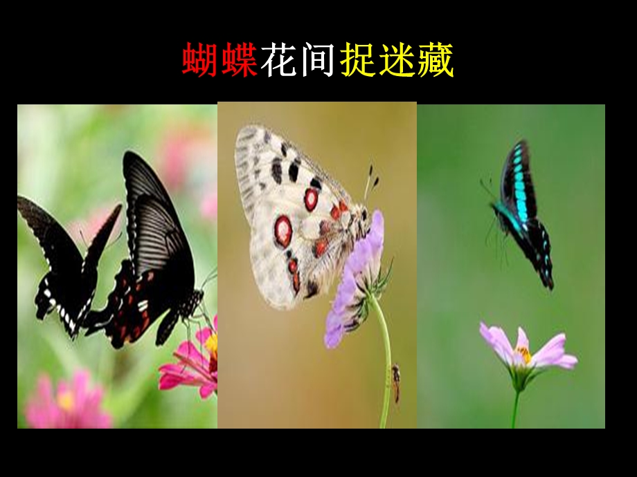 一年级语文识字4.ppt_第2页