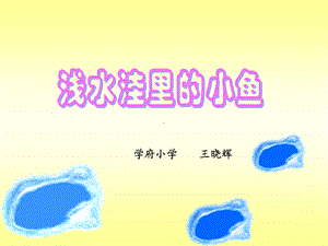 浅水洼里的小鱼(公开.ppt