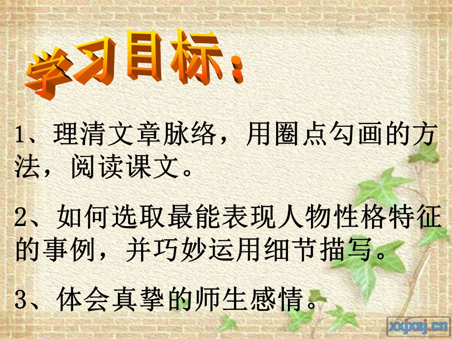 我的老师 (7).ppt_第3页