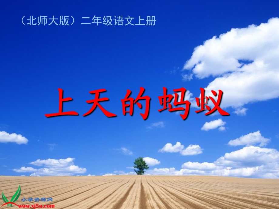 上天的蚂蚁.ppt_第1页