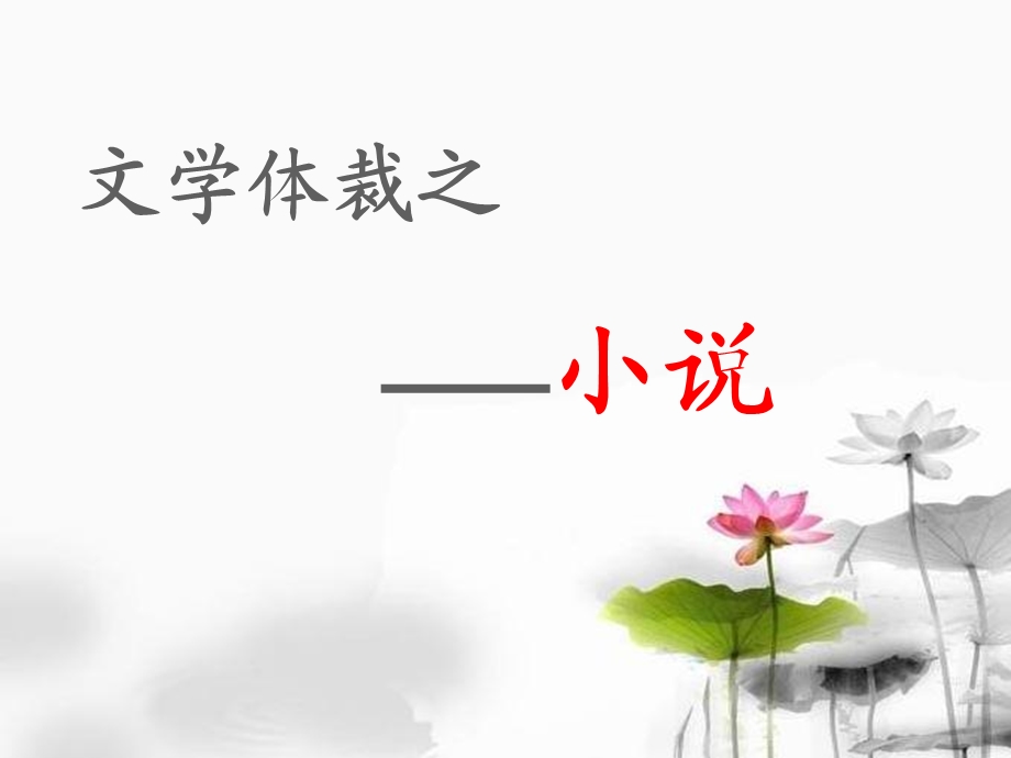 小说体裁介绍.ppt_第1页