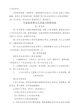 热电 公司 专业技术带头人评选与管理办法.docx