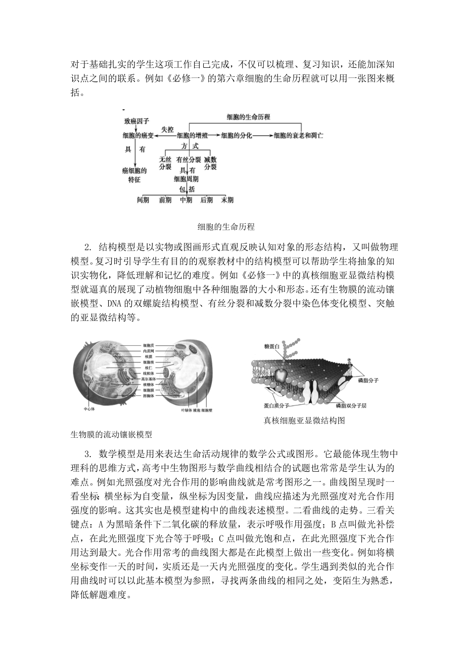 高三生物复习中的模型建构.doc_第3页