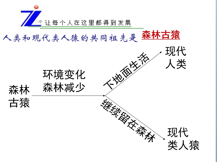 七年级上册第四单元复习.ppt_第2页