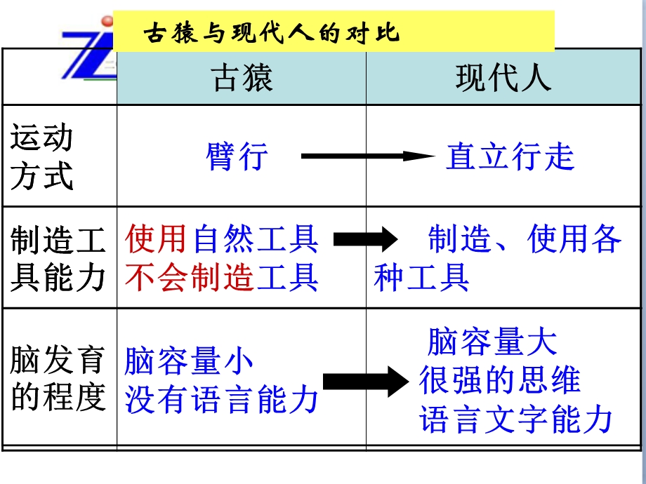 七年级上册第四单元复习.ppt_第3页