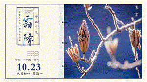 简约中国传统二十四节气霜降PPT模板1.pptx