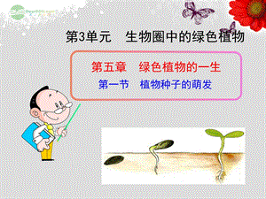 七年级生物上册第五章第一节植物种子的萌发课件苏教版.ppt