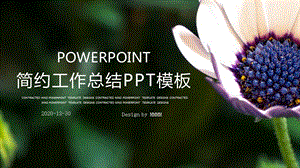 简约清新工作总结工作汇报PPT模板 1.pptx