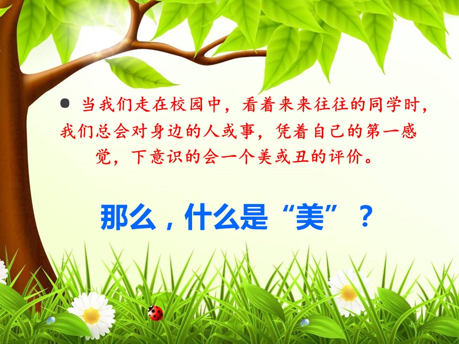 我心目中的最美中学生主题班会.ppt_第3页