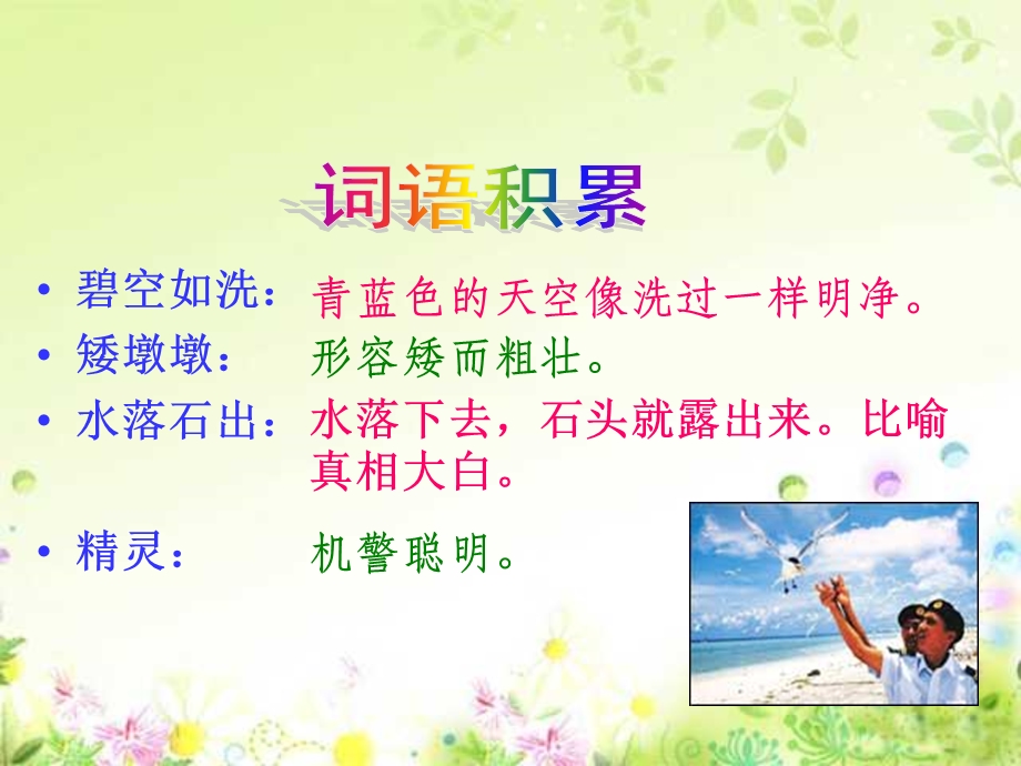 六年级上册《彩色的翅膀》PPT课件.ppt_第2页