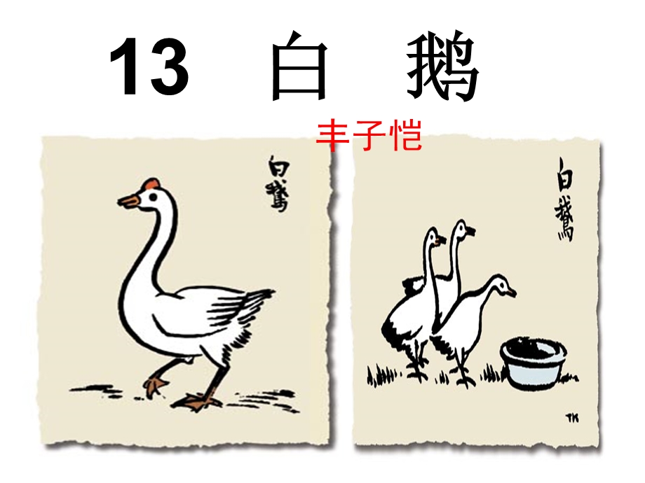 四年级语文上册第四组13白鹅课件.ppt_第2页