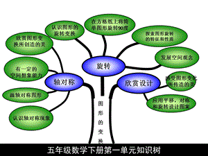 五年级数学下册第一单元知识树.ppt