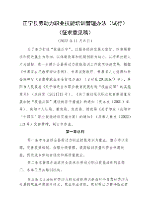 正宁县劳动力职业技能培训管理办法（试行）.docx