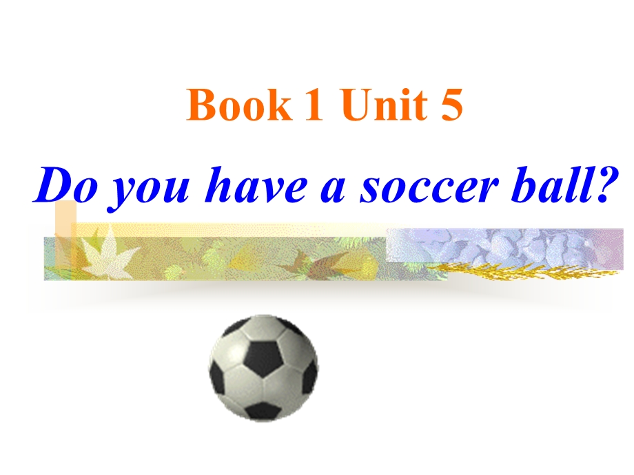 新目标七年级上unit5_Do_you_have_a_soccer_ball？.ppt_第1页