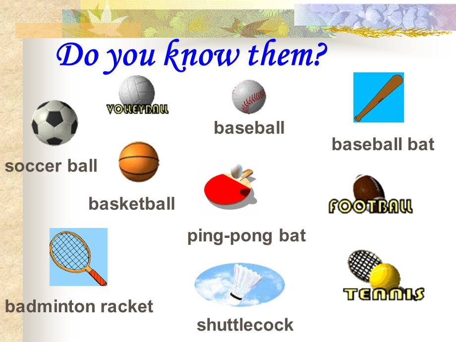 新目标七年级上unit5_Do_you_have_a_soccer_ball？.ppt_第3页