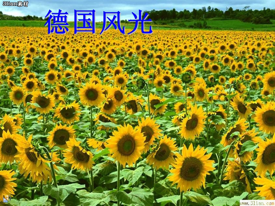 周岚莲自己的花是让别人看的公开课课件.ppt_第2页