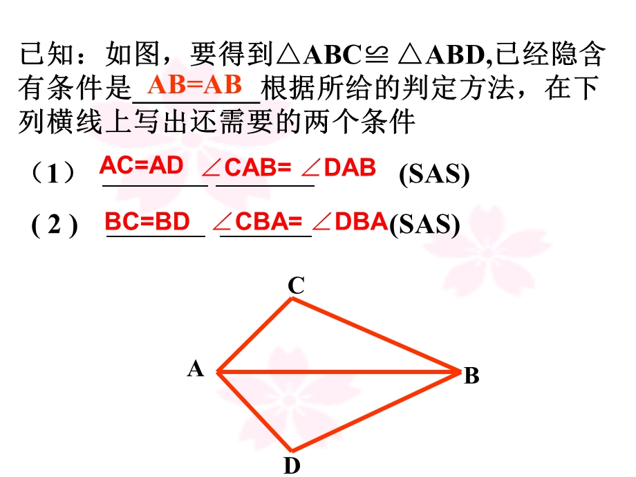 数学：1923全等三角形（ASA、AAS).ppt_第3页