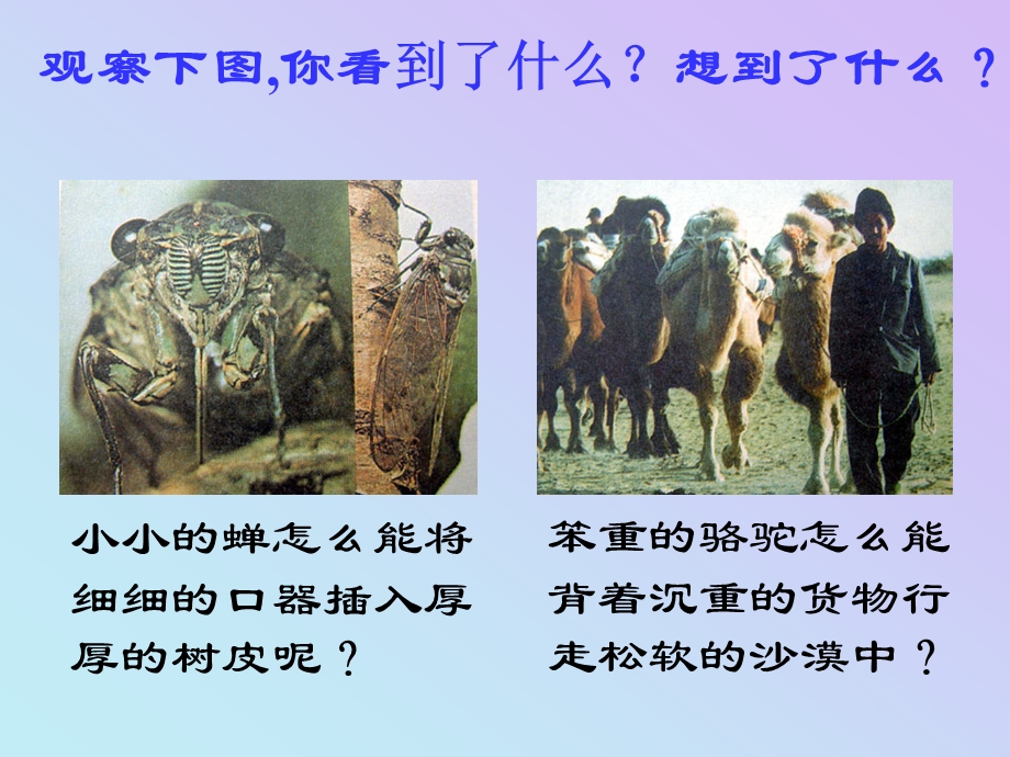 压强课件（上课）.ppt_第3页