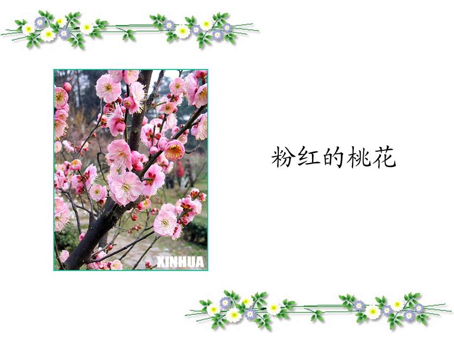 植物妈妈有办法 (2).ppt_第3页