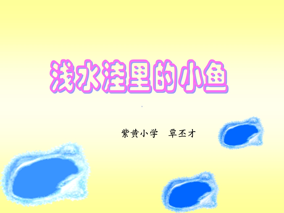 浅水洼里的小鱼(公开 (3).ppt_第1页