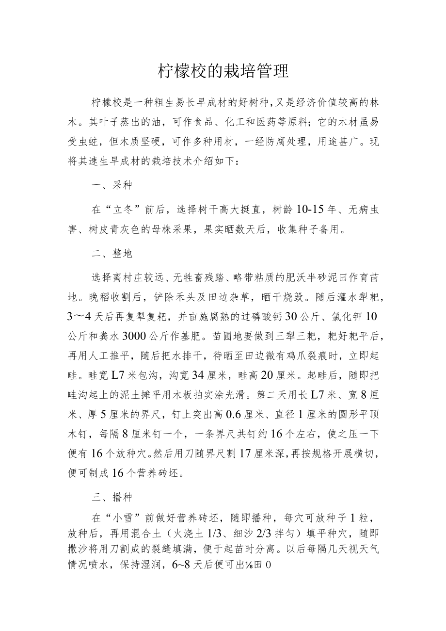 柠檬桉的栽培管理.docx_第1页