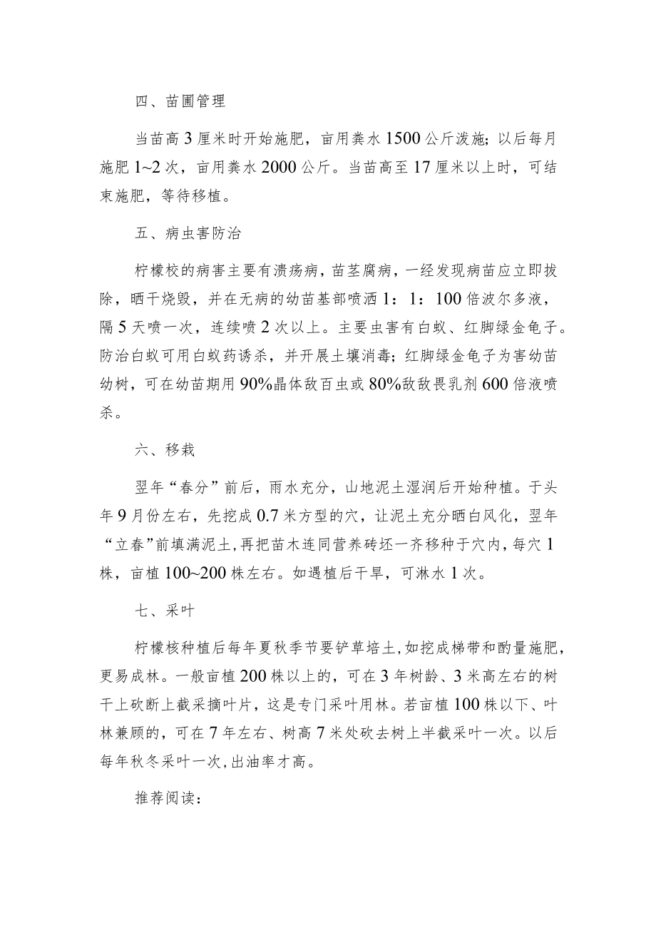 柠檬桉的栽培管理.docx_第2页