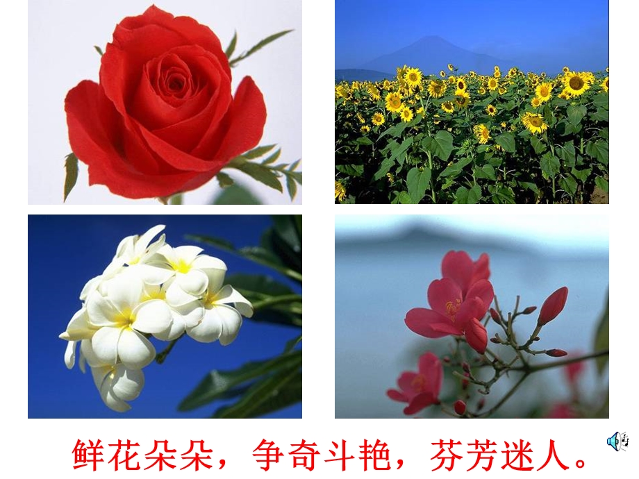 梁坚-《花钟》.ppt_第3页