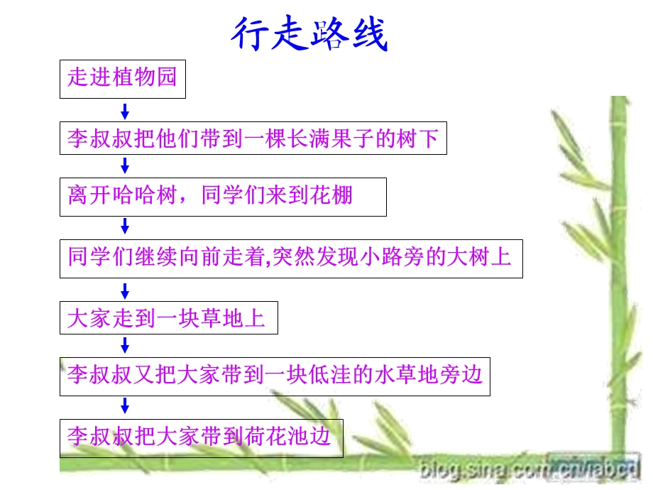 奇异的植物世界 (2).ppt_第3页