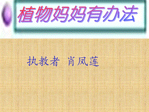 人教版小学二年级语文上册《植物妈妈有办法》课件.ppt