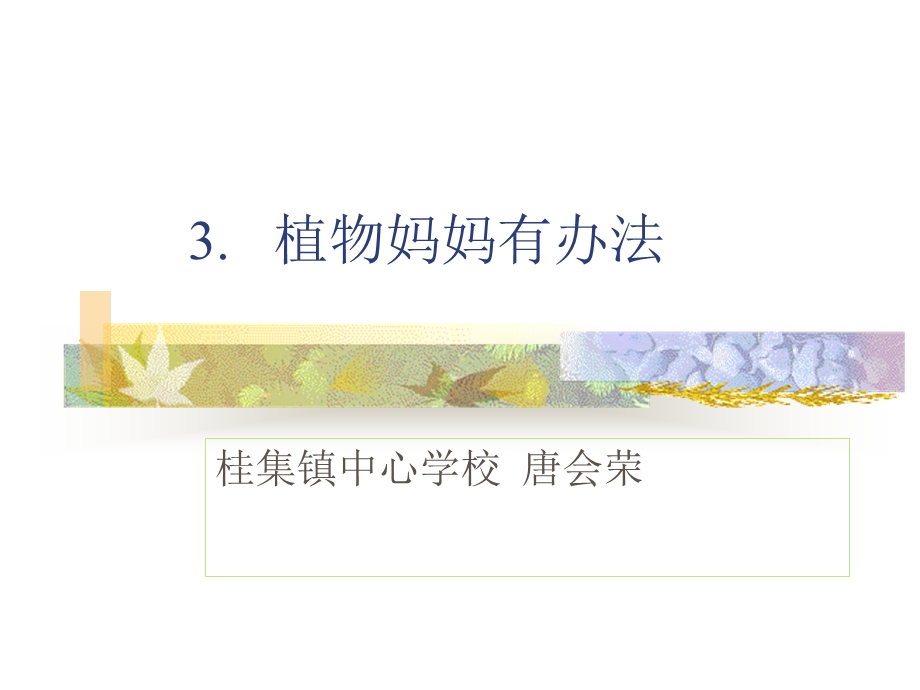 植物妈妈有办法 (3).ppt_第1页