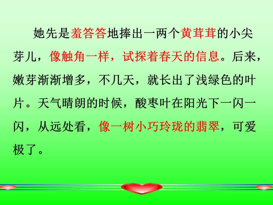 我爱故乡的酸枣树.ppt_第2页