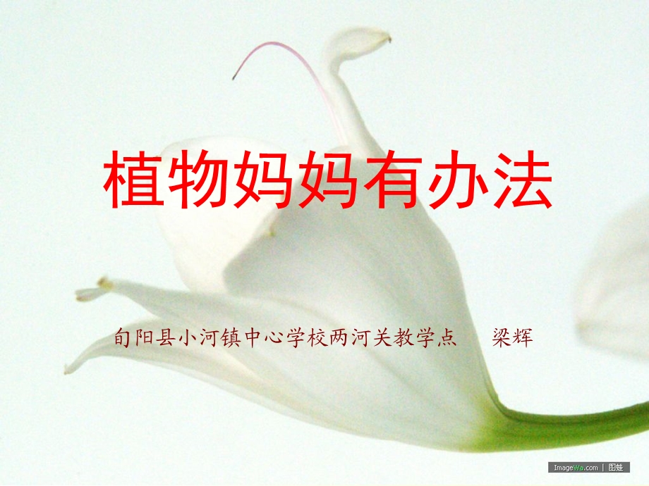 植物妈妈有办法 (7).ppt_第1页