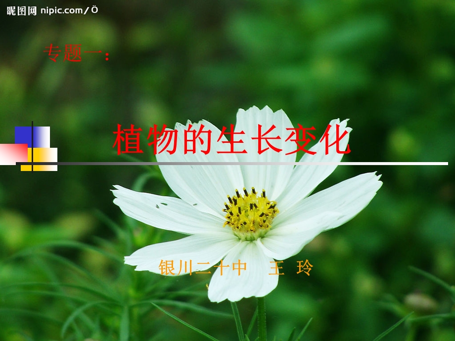 植物的生长变化.ppt_第1页