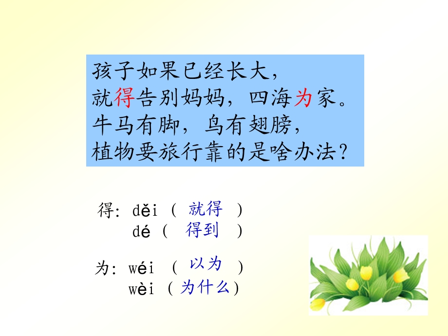 植物妈妈有办法12.ppt_第3页