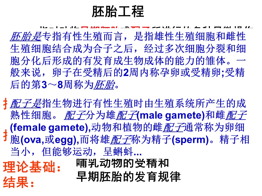 体内受精和早期胚胎发育.ppt_第3页