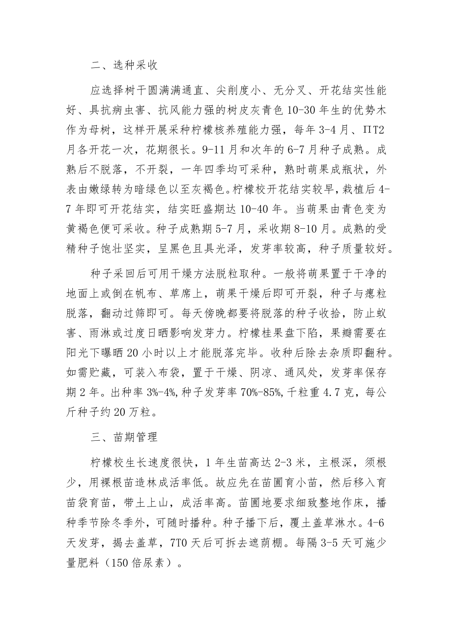 柠檬桉的采种与育苗.docx_第2页