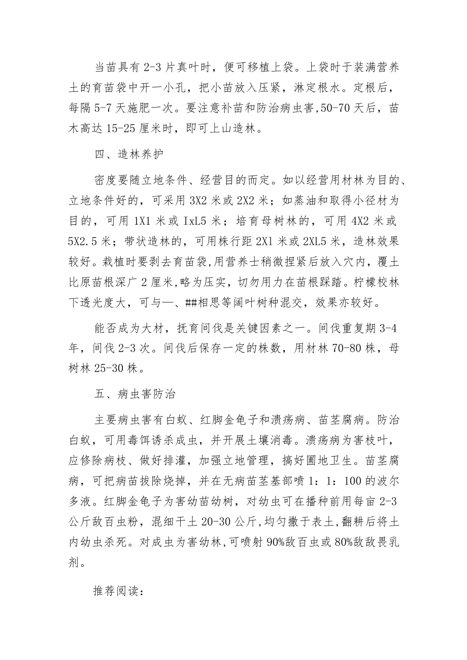 柠檬桉的采种与育苗.docx_第3页