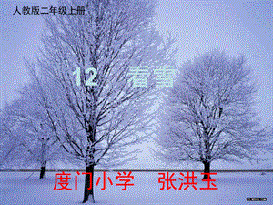 人教版小学二年级语文上册课件----12看雪.ppt