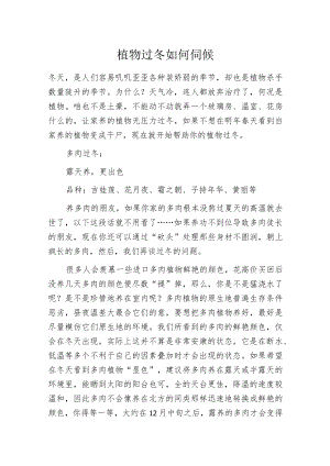 植物过冬如何伺候.docx