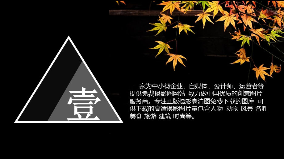 枫叶简约个人简介PPT模板.pptx_第3页