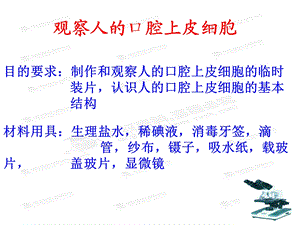 人口腔上皮细胞课件.ppt