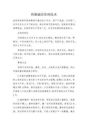 柽柳栽培管理技术.docx