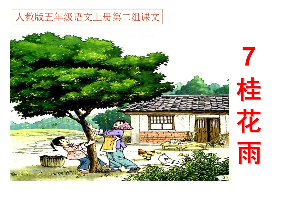 人教版五年级语文上册《桂花雨》课件 (2).ppt_第1页