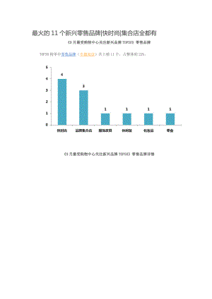 最火的11个新兴零售品牌.doc