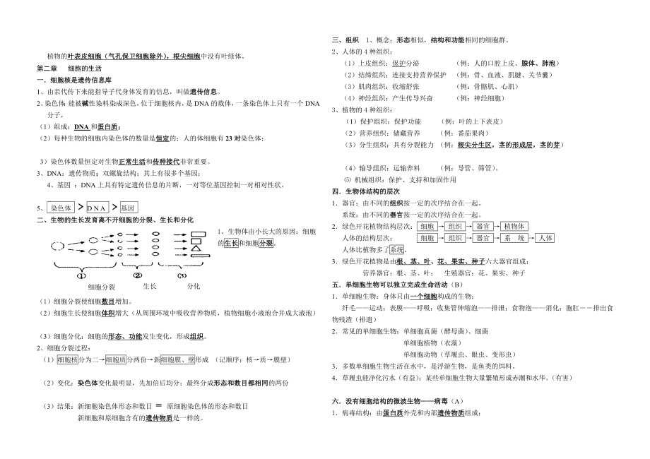 [重点]初中生物总复习资料(人教版).doc_第3页