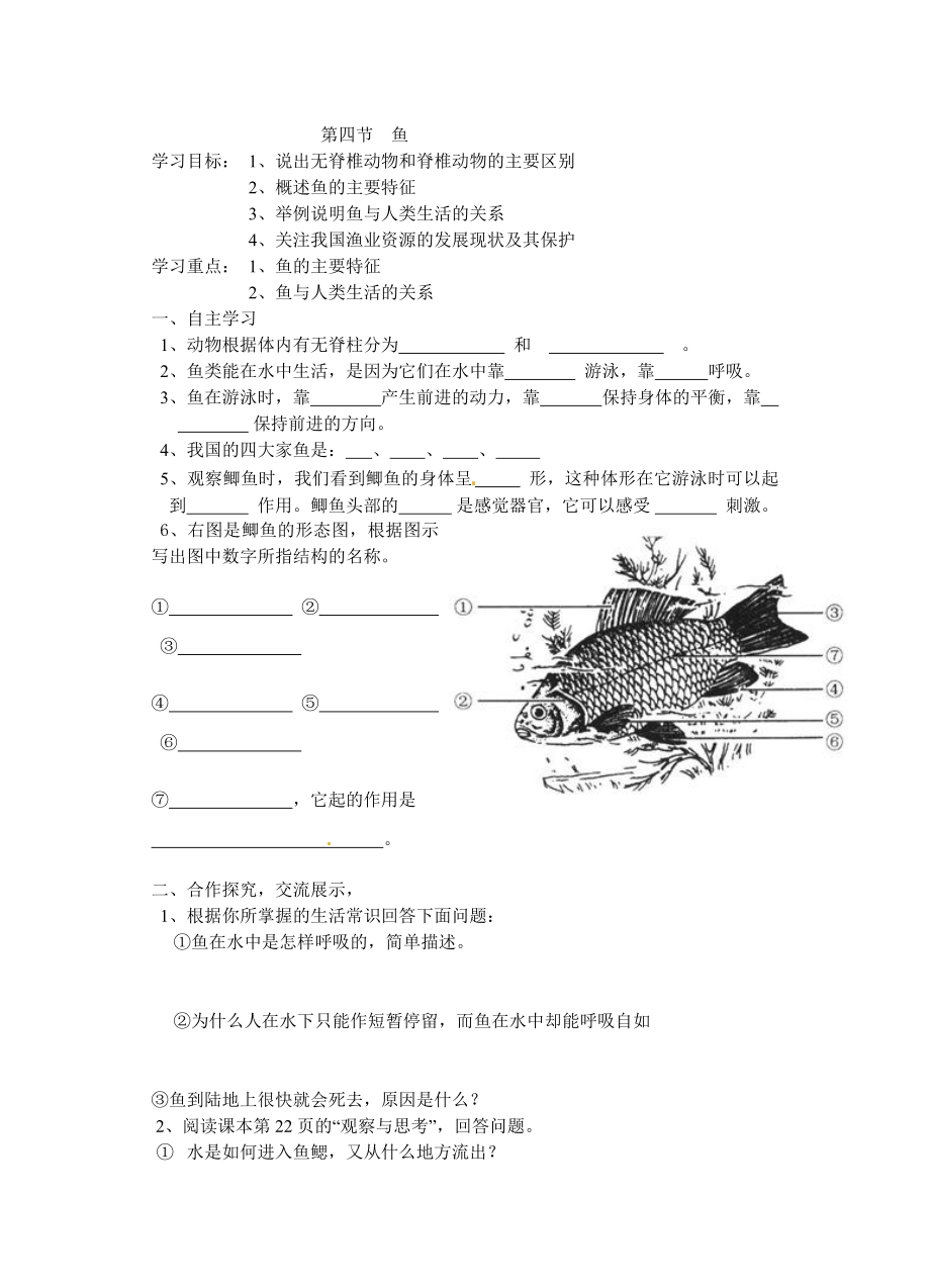 人教版初中生物《鱼》导学案.doc_第1页
