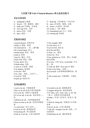 深圳牛津版初中英语九年级下册Unit4知识点语法精讲精练.doc