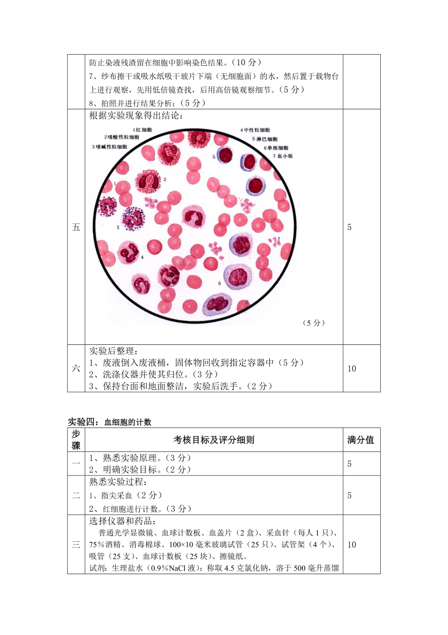 细胞生物学实验操作考核试题及评分标准.doc_第3页