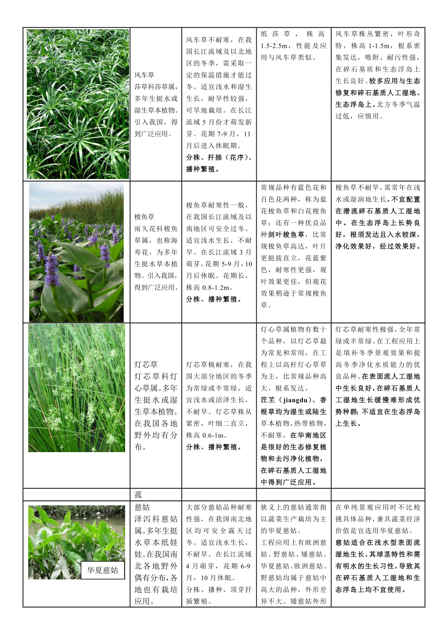 常用水生植物种类汇总.doc_第3页